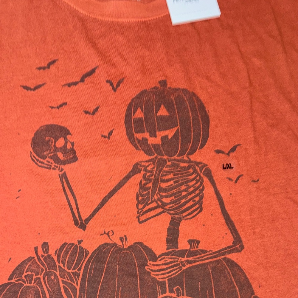 NWT American Eagle Rustic Pumpkin Patch Graphic T… - image 4